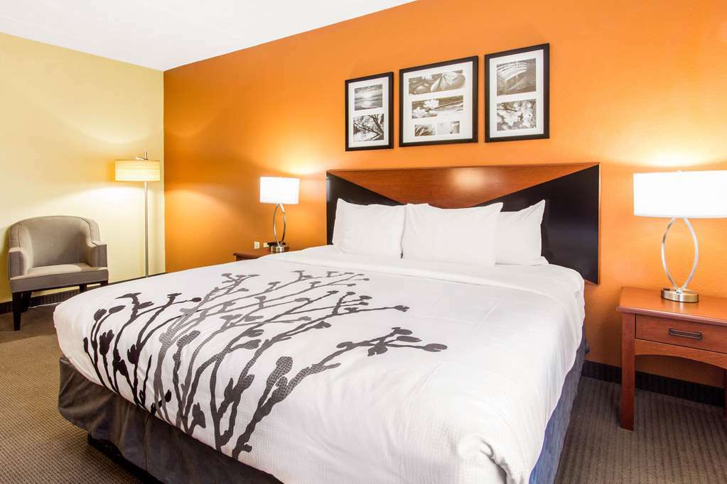 Comfort Inn & Suites Wildwood - The Villages Kamer foto